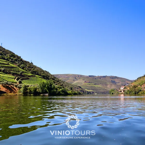 Passeio de barco privativo com vistas pitorescas pelo Vale do Douro
