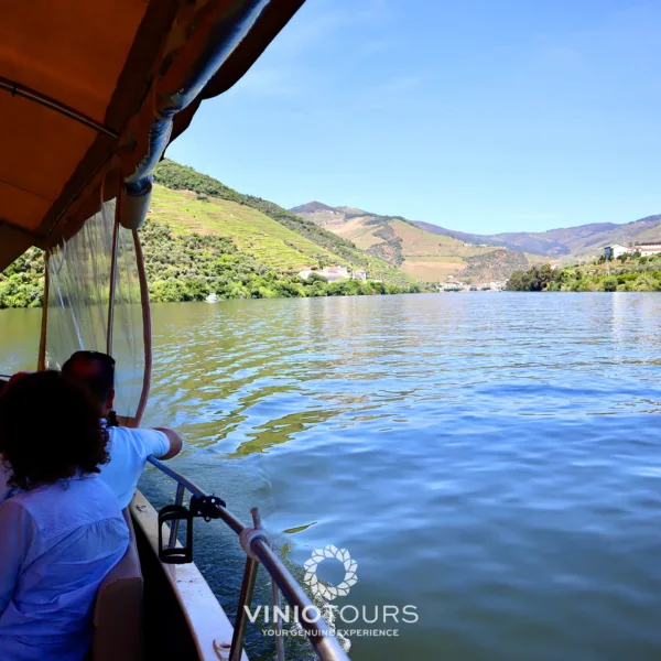 Passeio de barco privativo com vistas pitorescas pelo Vale do Douro