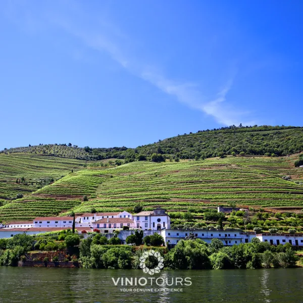 Passeio de barco privativo com vistas pitorescas pelo Vale do Douro