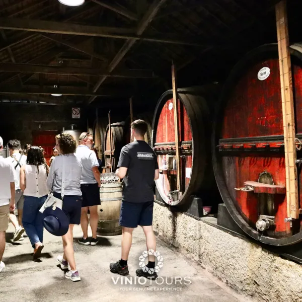 Passeio particular a um produtor de vinhos histórico, degustação de prestigiados vinhos do Porto e Doc