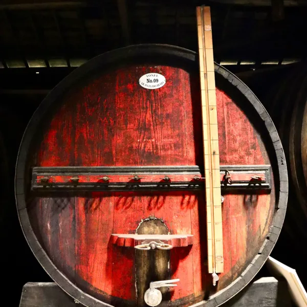 Passeio particular a um produtor de vinhos histórico, degustação de prestigiados vinhos do Porto e Doc