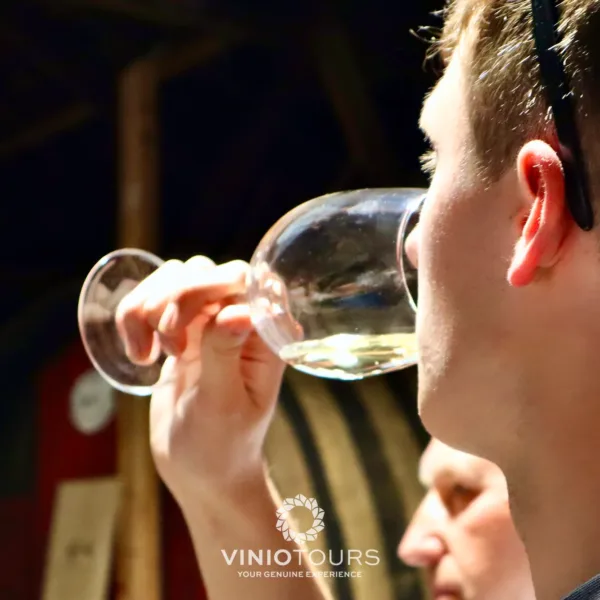 Passeio particular a um produtor de vinhos histórico, degustação de prestigiados vinhos do Porto e Doc