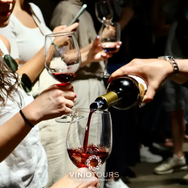 Passeio particular a um produtor de vinhos histórico, degustação de prestigiados vinhos do Porto e Doc