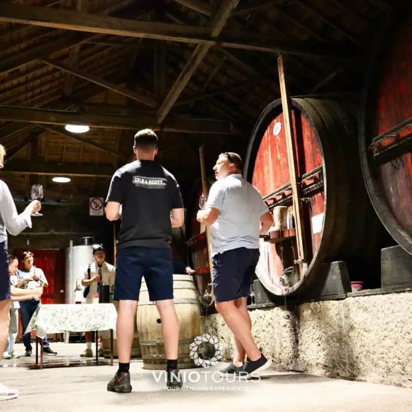 Passeio particular a um produtor de vinhos histórico, degustação de prestigiados vinhos do Porto e Doc
