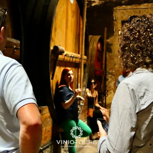 Passeio particular a um produtor de vinhos histórico, degustação de prestigiados vinhos do Porto e Doc
