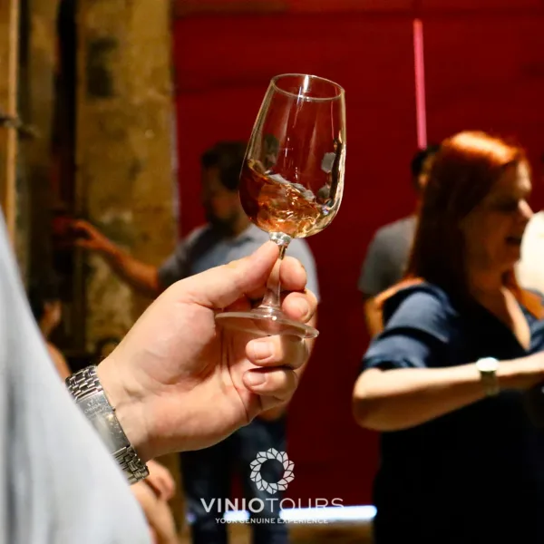 Passeio particular a um produtor de vinhos histórico, degustação de prestigiados vinhos do Porto e Doc