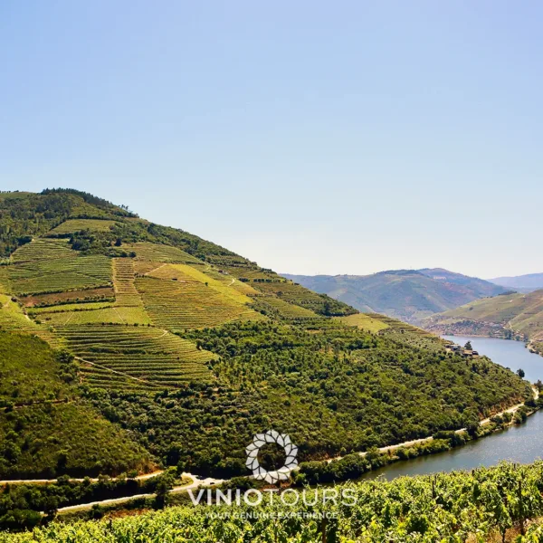 Vistas pitorescas pelo Vale do Douro