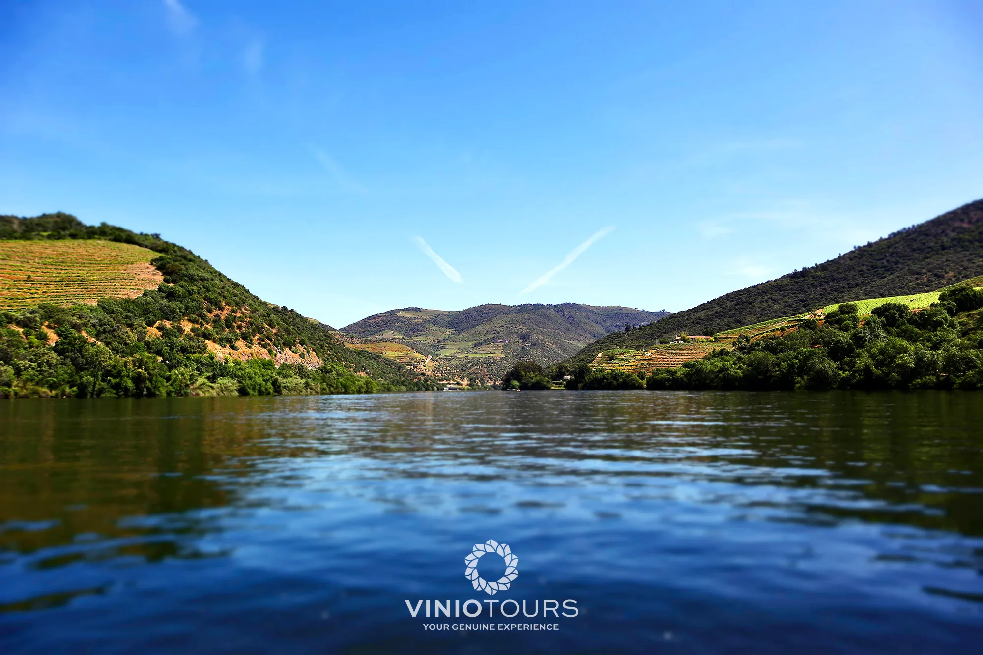 Paseo en barco privado con vistas pintorescas del valle del Duero